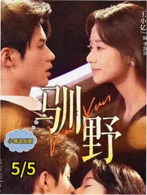 秘密森林海报